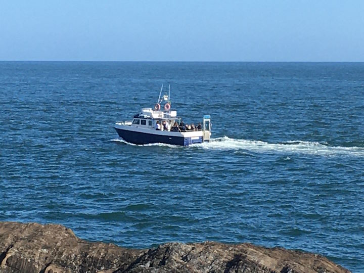 A full charter boat heads off on an around-the-island cruise &copy; Robert Irving