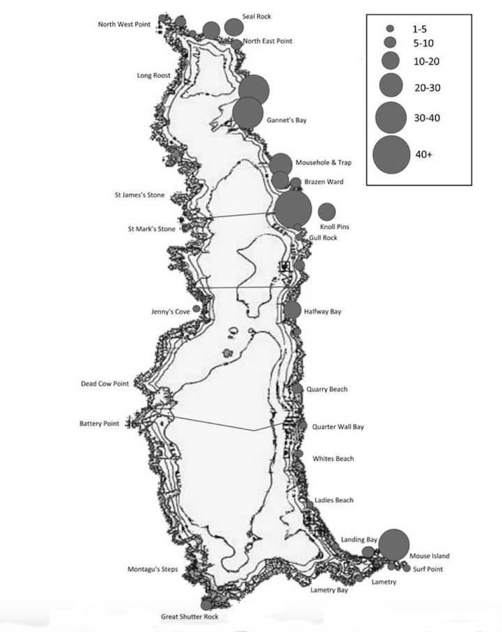 The most popular haul-out sites for grey seals at Lundy (after Jones, 2017). The size of the circle indicates the average number of seals counted at the site during survey visits.