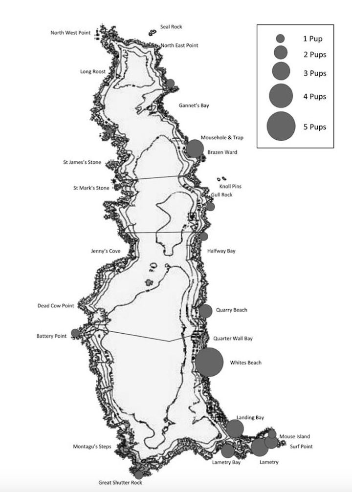 The distribution of sites where grey seal pups were discovered during surveys carried out in 2017 (after Jones, 2017)