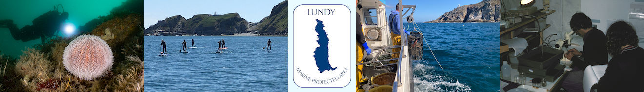 history and management